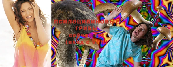 шишки Сосновоборск