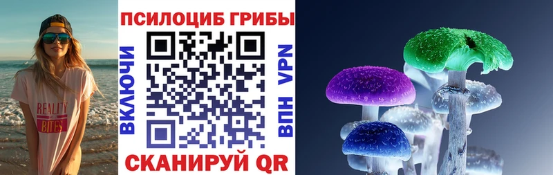 даркнет сайт  Уржум  Псилоцибиновые грибы Psilocybe 